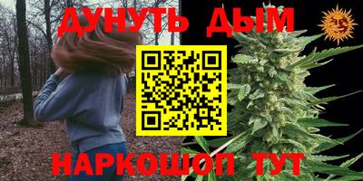 скорость Новодвинск