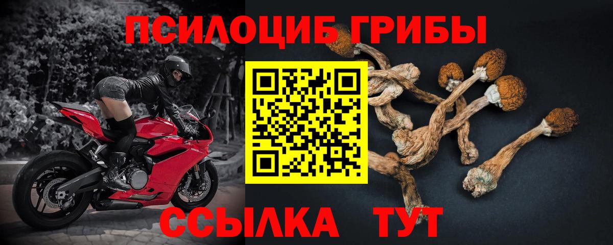 Сибай  Псилоцибиновые грибы Cubensis  Галлюциногенные грибы MAGIC MUSHROOMS  Вход с VPN 